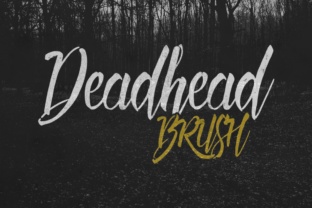 Deadhead Brush: Authentic Hand-Lettered Style for Modern Design