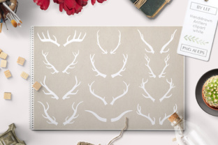 Mastering Wildlife Design: A Practical Guide to Antler Vector and PS Brushes