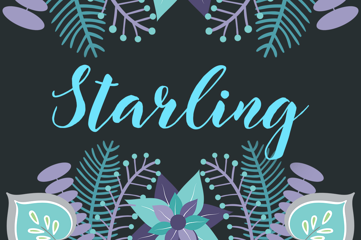 Unlocking the Potential of Starling: A Guide to Modern Calligraphy Design